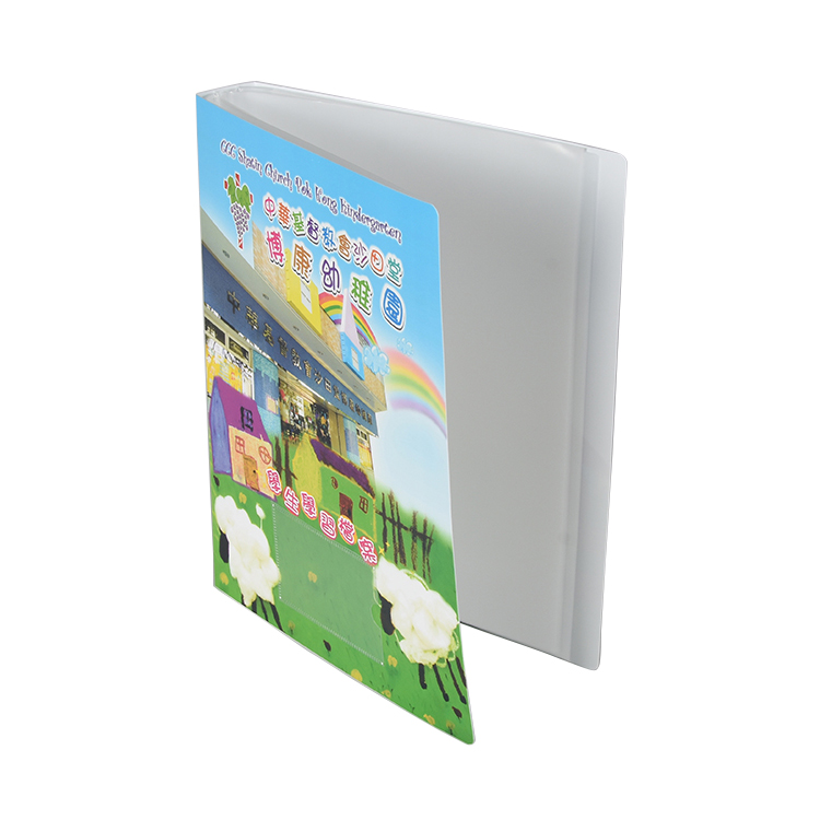 CustomizedPP Plastic Clear File Folder Display Book with 20 pockets In A4 Size