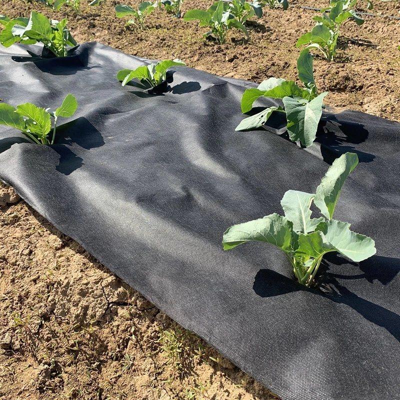 2021 Hot Selling Weed Control Mat Anti-Weed Nonwoven Fabric for Weed Control