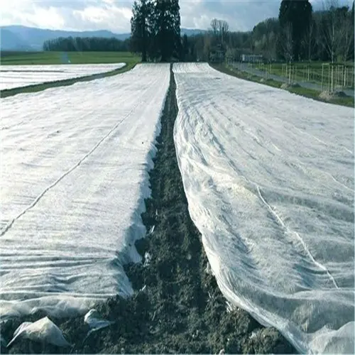 3% UV Stabilized Weed Control Fabric PP Non Woven Fabric