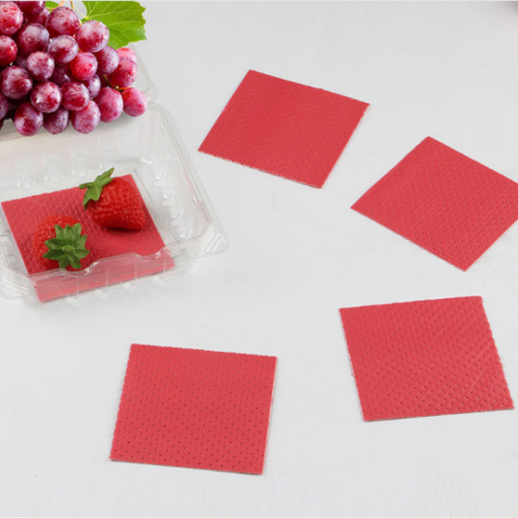 Non-toxic, hygienic, clean and easy-to-use absorbent pad for juice from food absorbent pads