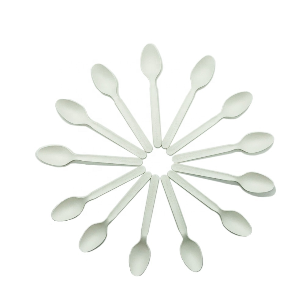 Restaurant CPLA compostable disposable biodegradable plastic cutlery set