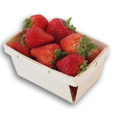 One Quart Wooden Berry Baskets 5.75-Inch Square Vented Wood Boxes for Fruit Picking