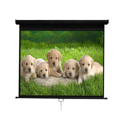 Self Lock Wall Projection Screen Pull Down Slow Retraction 72 Inch Manual Projector Screen