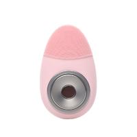 Factory wholesale multifunctional 5 in 1 sonic silicone facial cleansing brush