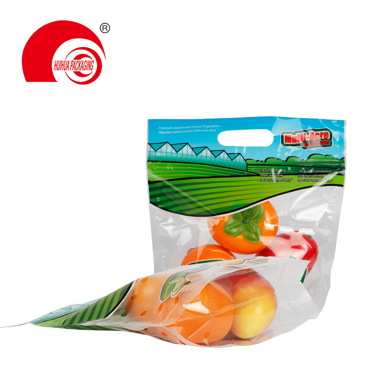 Food Grade Reusable Clear Fresh Fruit Packaging Bag with Handle Reusable Zipper