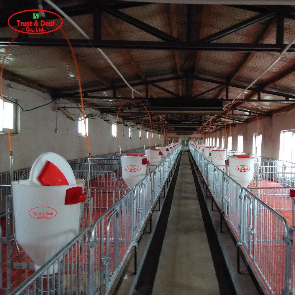 automatic pig feeder wet dry feeder for pig farm equipment