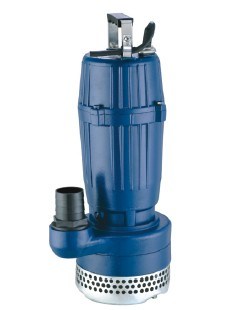 Submersible Pumps (QDX10) with CE Approved