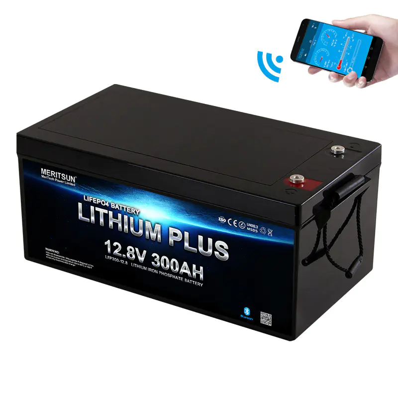 Lithium Ion Battery 12.8v 300ah Storage Energy System with BMS APP Control Deep Cycle Lifepo4 12v 300ah BOATS