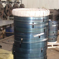 Competitive Price Narrow Blue Packing Iron StrapBlack Steel Strip