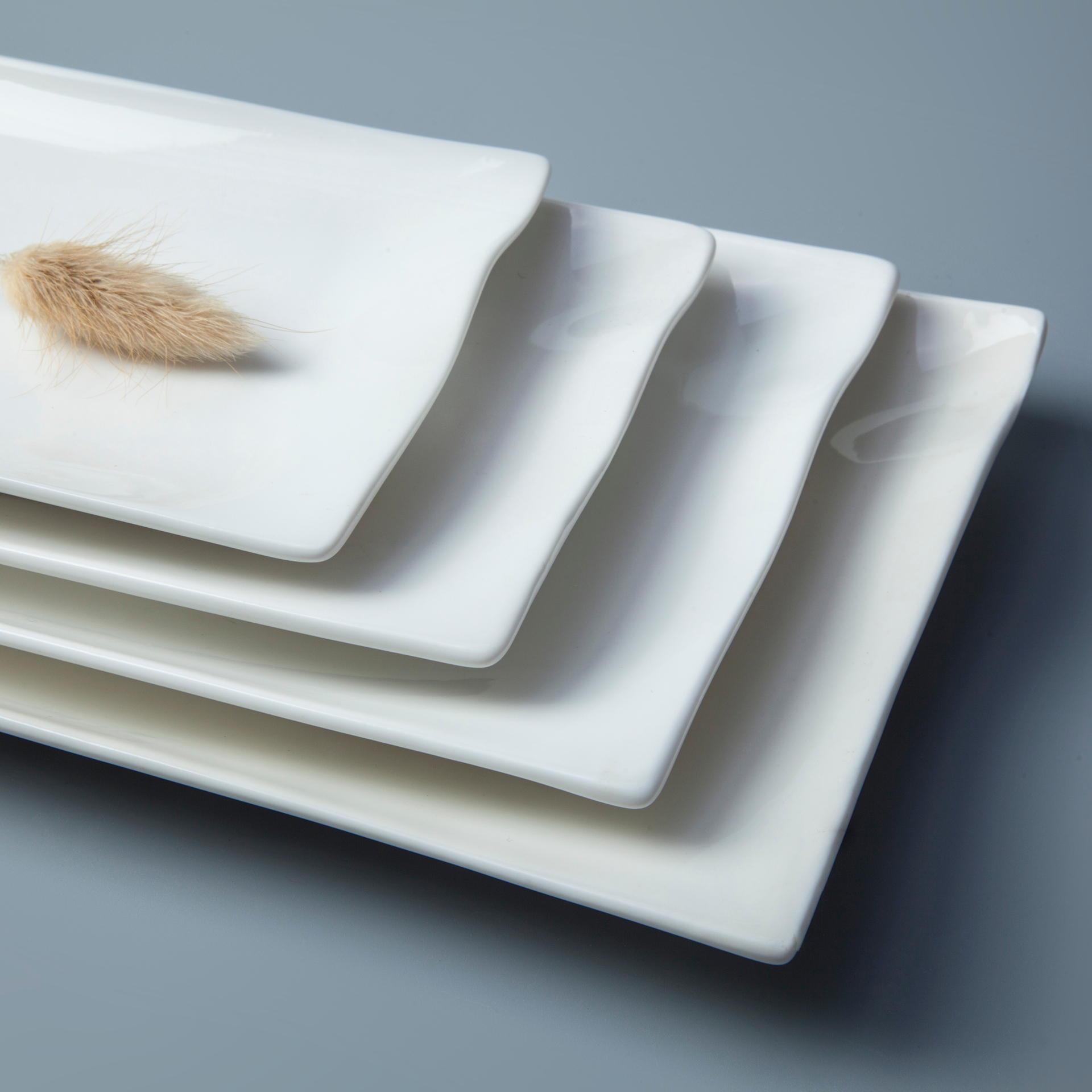 Exquisite popular design rectangle ceramic porcelain plate for hotel & restaurant