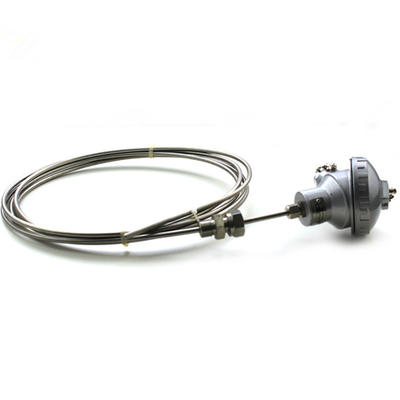 K-type thermocouple temperature probe Armored double WRNK2-235 diameter 5mm double core armored thermocouple