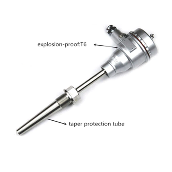 Fixed-bolt taper protection tube explosion proof TC and platinum RTD resistance temperature detector thermocouple thermal