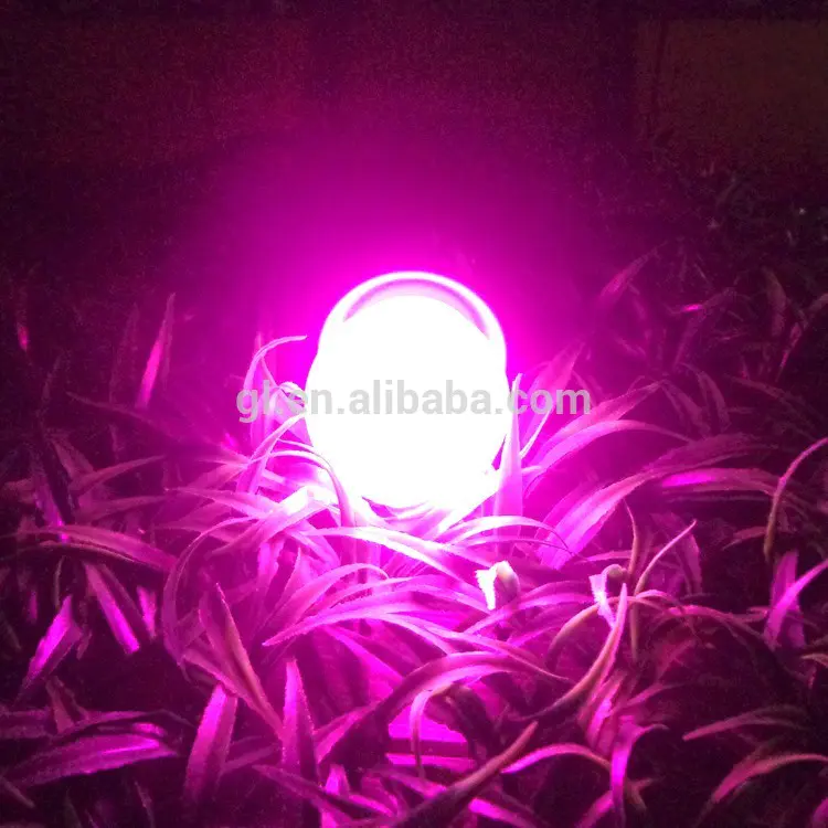 CE ROHS multipurpose color changing led light P4 G45 7 SMD
