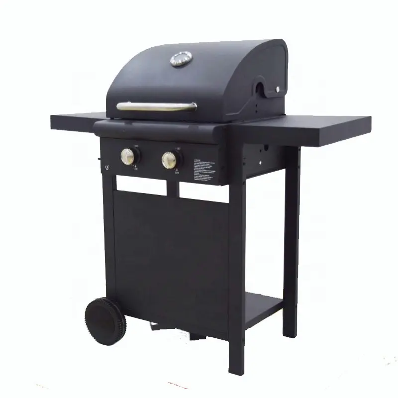 2021 Gas Grills Two Burners BBQ Grill Kitchen Barbecue