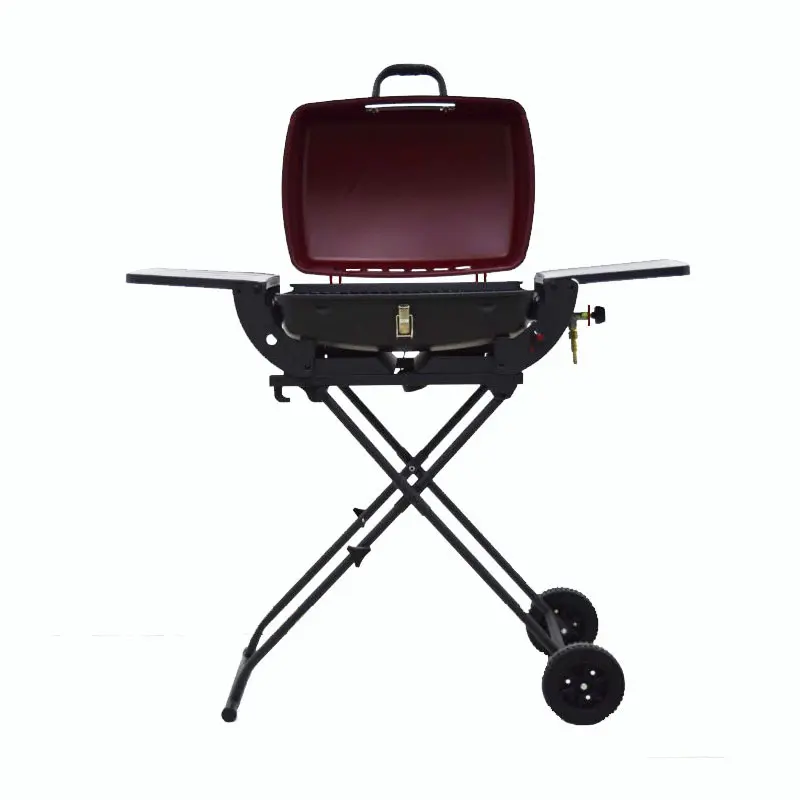 2021 New Gas Grill Propane Portable Barbecue Grill