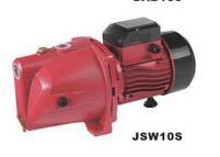 Self-Priming Jet Pump Jsw10s with Ce Approved