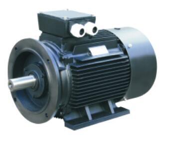 Motor Y3dt315s with Ce Approved