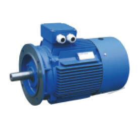 Motor Y3-355m1-8 with Ce Approved