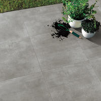 Trust Ceramics Floor tiles prices in Gahana Glazed Matte Concrete Porclain Floor tile