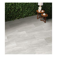 Style selections floor tiles ceramic porcelain