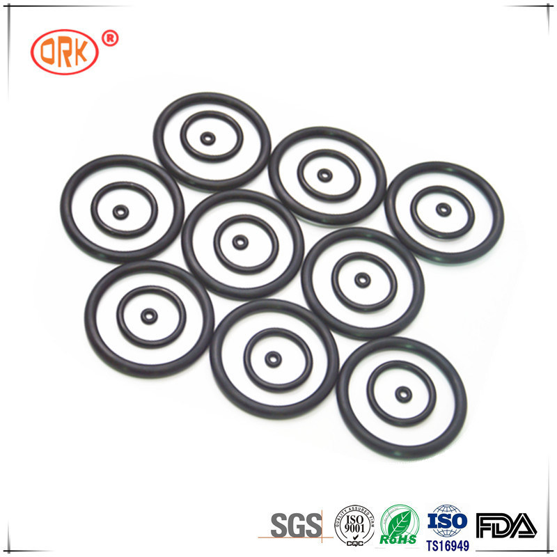 Black Fuel Resistance NBR O Ring for Fuel Spray Nozzle