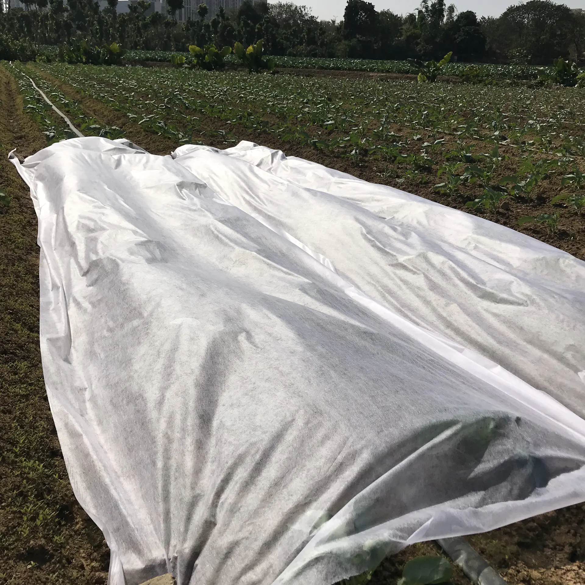 nonwoven fabric for agriculture,4% UV treatment polypropylene non-woven fabric