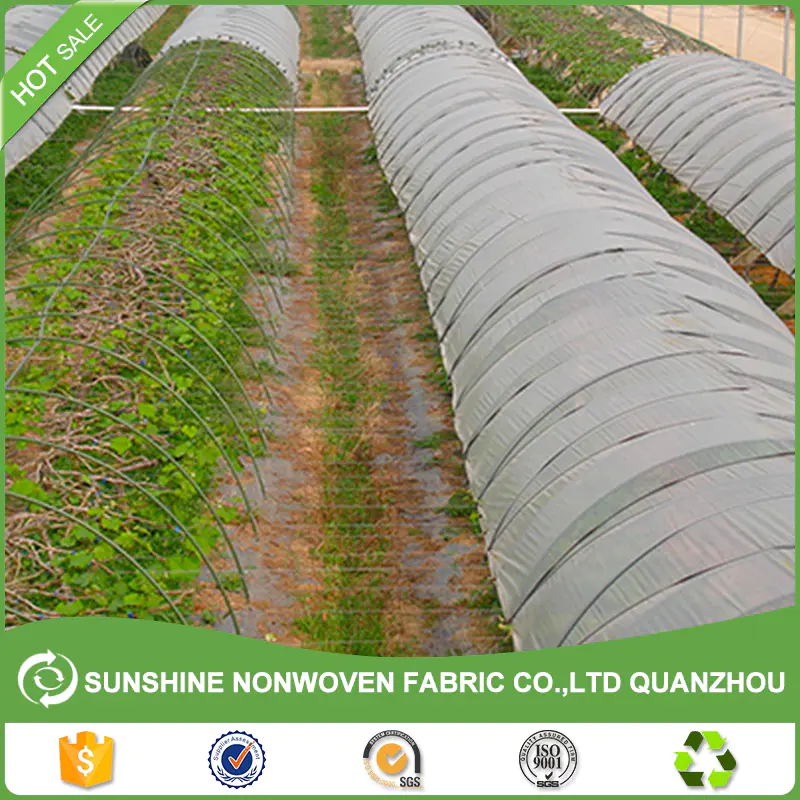 PP Agricultural Nonwoven Fabric Anti UV Treated PP Non Woven Crop Row Cover