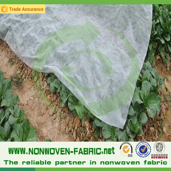 Fruit containers nonwoven fabric/agriculture pp non wovens spunbond fabric/Crop Covers material cloth polypropylene tnt rolls