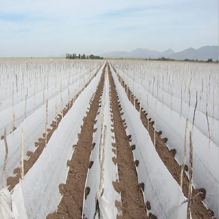 non-woven plant cover, uv treat tnt nonwoven fabrics roll/ pp spun-bonded breathable agriculture use non woven cloth