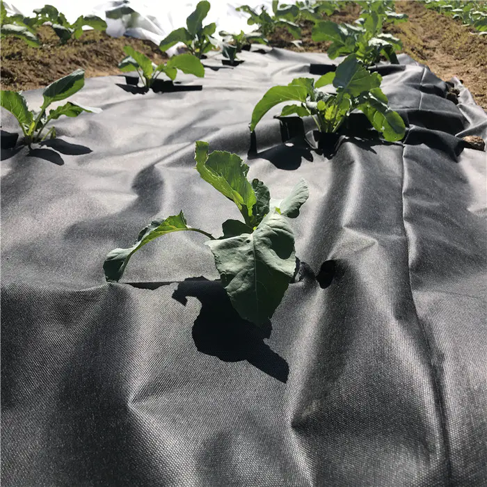 Agriculture PP Nonwoven Weed Mat Control Fabric Garden black color Garden Landscape Fabric