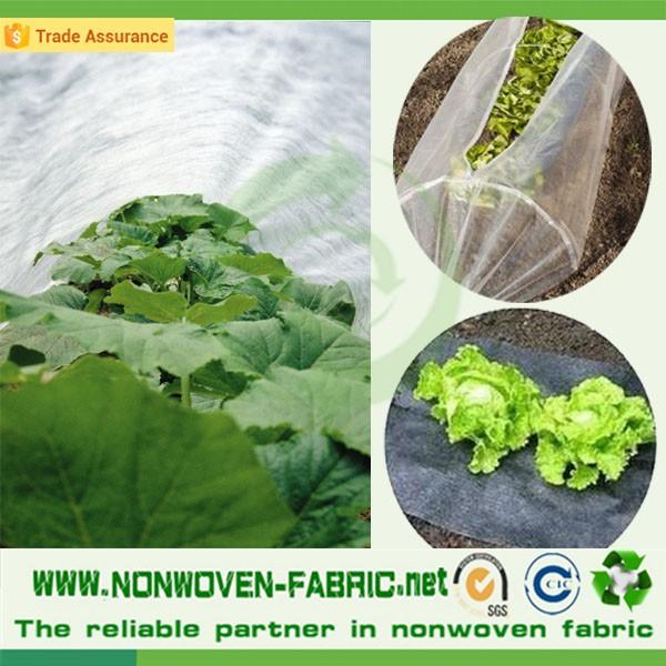 25gr white uv Agriculture non-woven plant protection bag & garden cover & fruit containers cover fabric wholesale