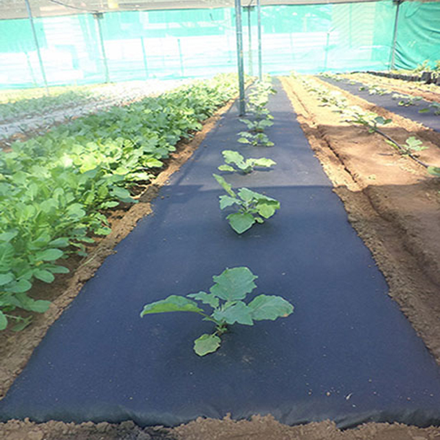 Agriculture PP Spunbond Non Woven Fabric Weed Control Mat/Banana grow bag with 17gsm pp spunbonded non-woven fabric
