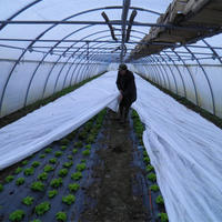 tecido tnt direto da china/breathable pp nonwoven fabric for plant cover protection/agriculture tnt non-woven fabrics small roll