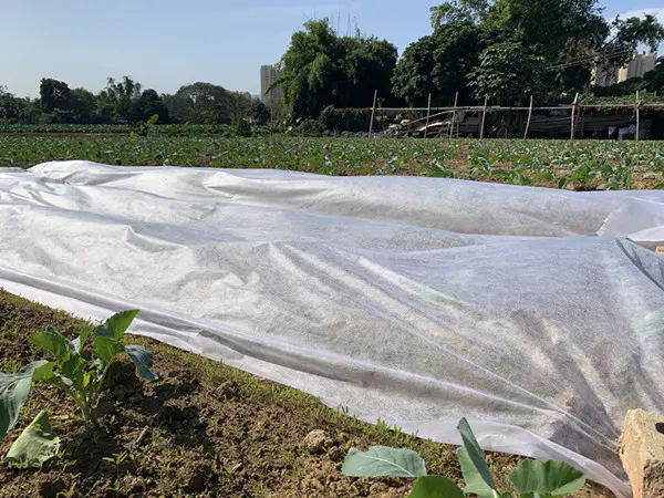 non woven fabric 100%pp materials fabric use for agriculture cover