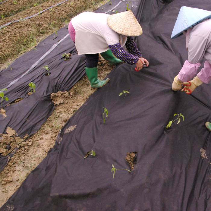 Black Garden Non-woven Weed Barrier Non Woven Weedcontrol Rolls Landscape Nonwoven Fabric