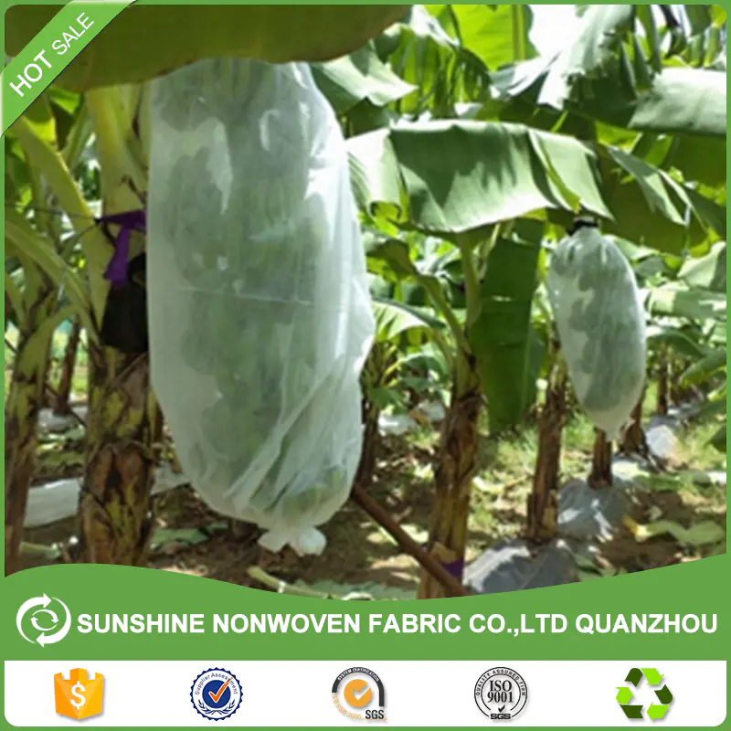 Pp spunbond nonwoven fabric for banana protect bags