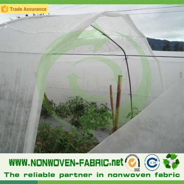 25gr white uv Agriculture non-woven plant protection bag & garden cover & fruit containers cover fabric wholesale
