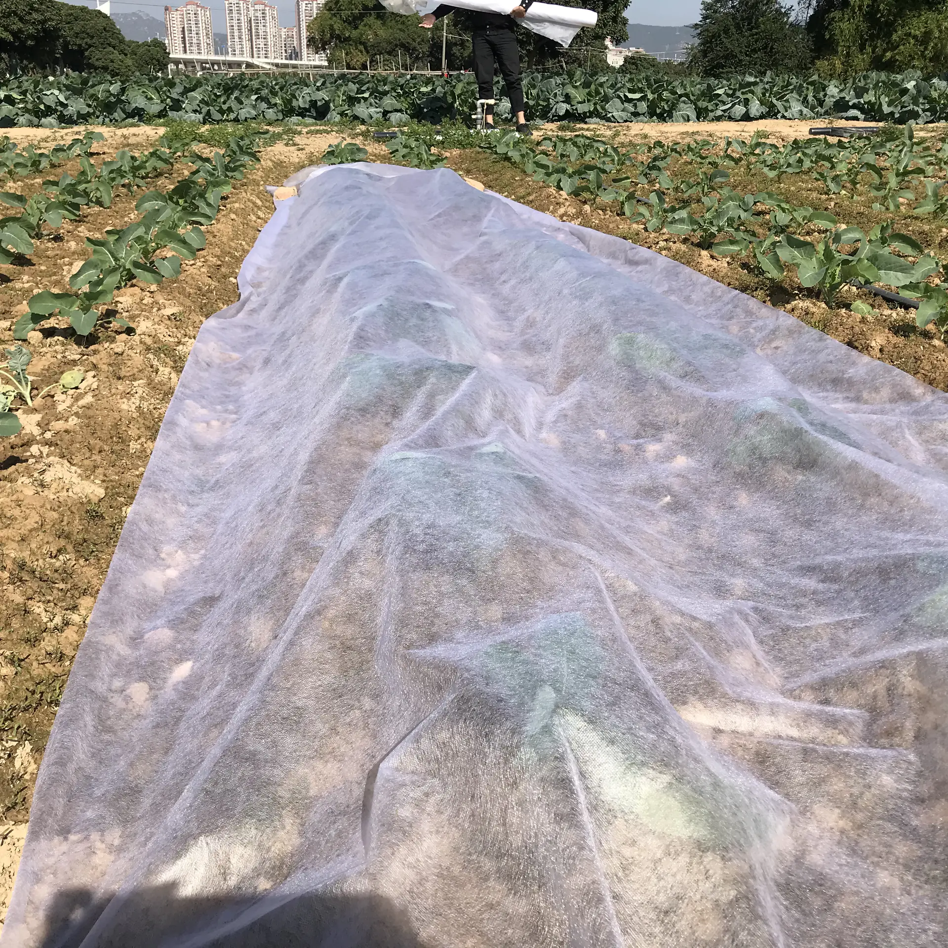 nonwoven fabric with UV treatment agriculture pp non-woven fabric weed barrier
