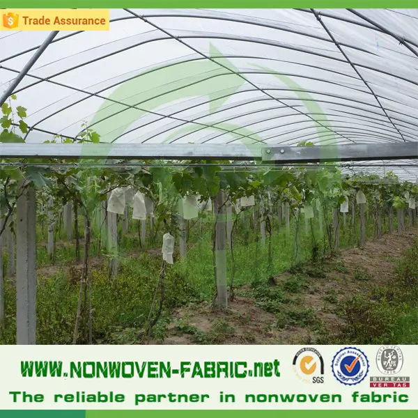 Fruit containers nonwoven fabric/agriculture pp non wovens spunbond fabric/Crop Covers material cloth polypropylene tnt rolls