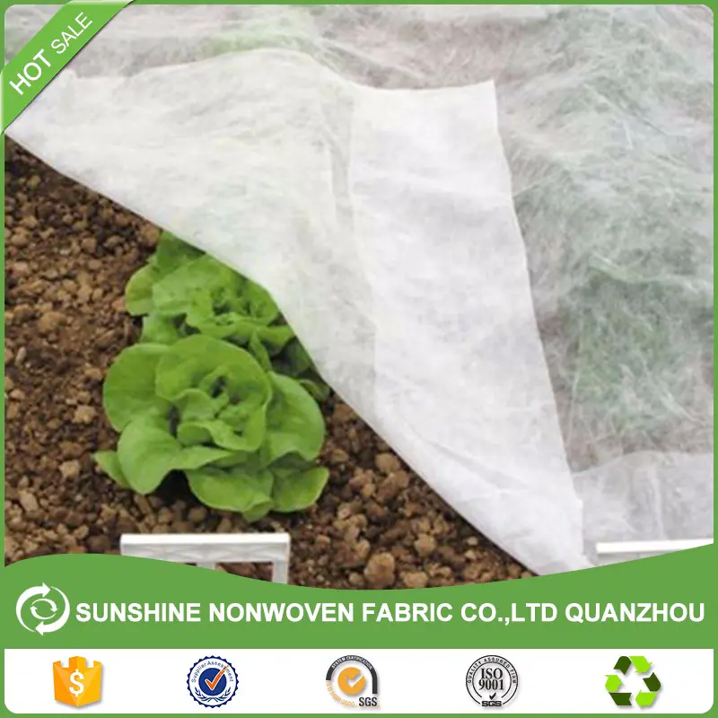 PP Agricultural Nonwoven Fabric Anti UV Treated PP Non Woven Crop Row Cover