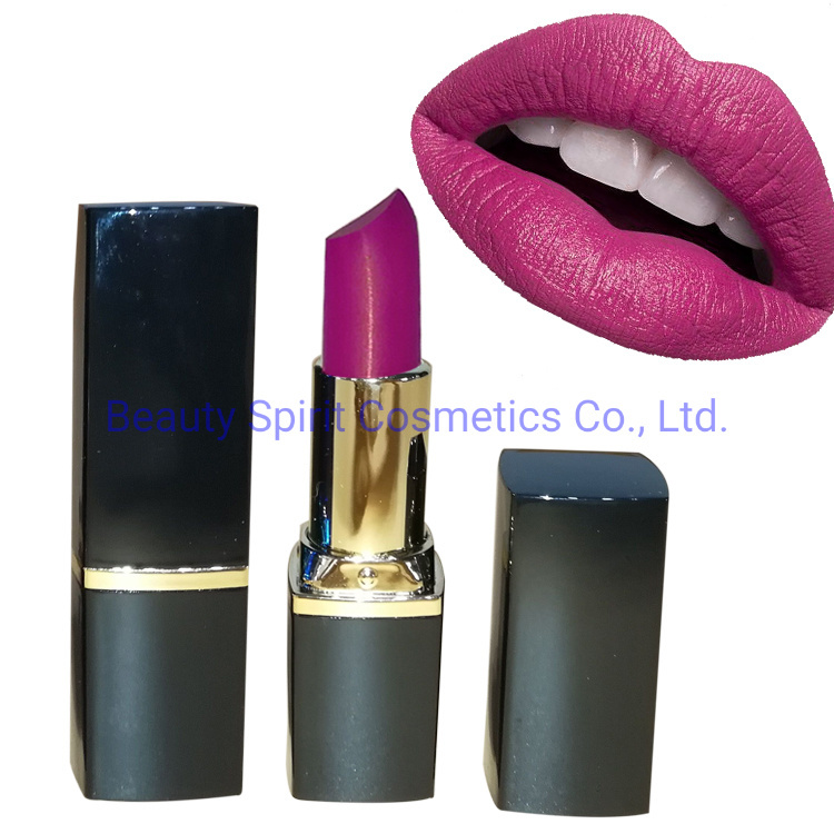 OEM Cosmetics Makeup Lipgloss Long Lasting Matte Lipstick