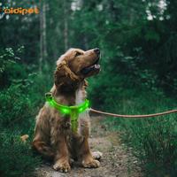 RGBRainbow Led Dog Harness Colorful Factory Price Customized Logo Harness with Led Light for Dogs
