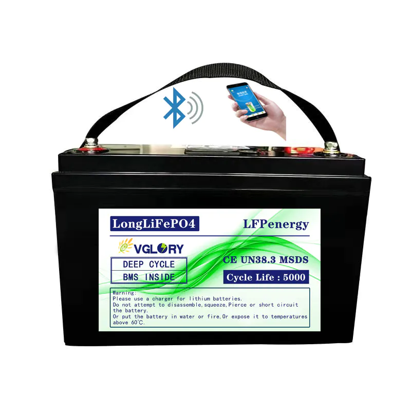 Intelligent BMS Protection 12 volt 12v battery lithium ion