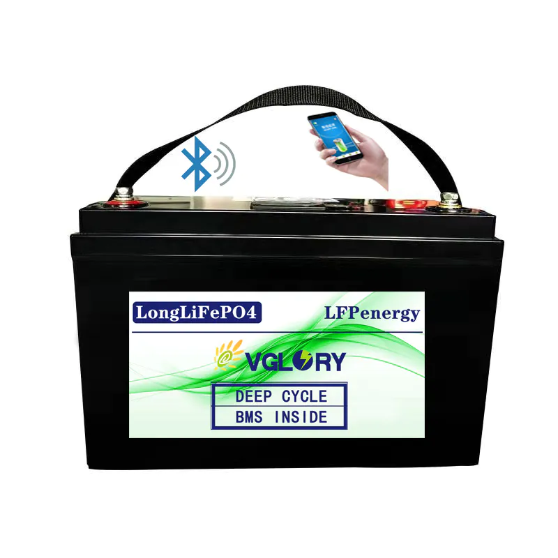 Economically light weight deep cycle 24v 24 volt lithium ion battery pack