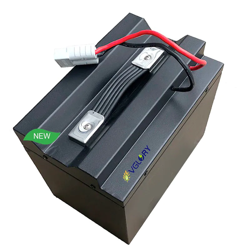 Wholesale good price Rechargeable 48volt lithium battery
