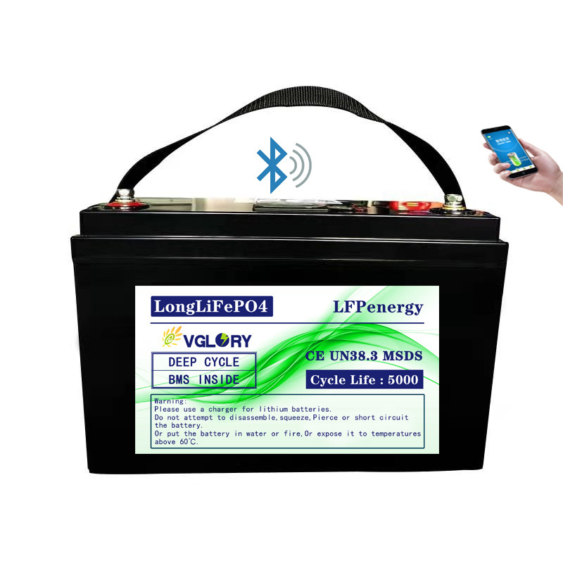 Light weight compact size 12v 100ah china deep cycle lithium battery