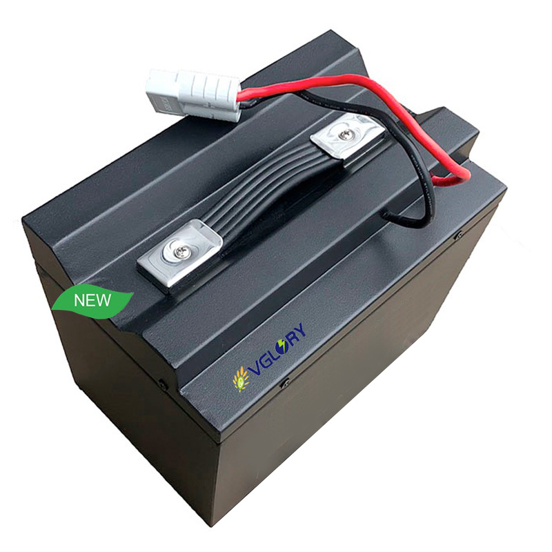 Custom voltage accepted deep cycle lithium ion battery good price