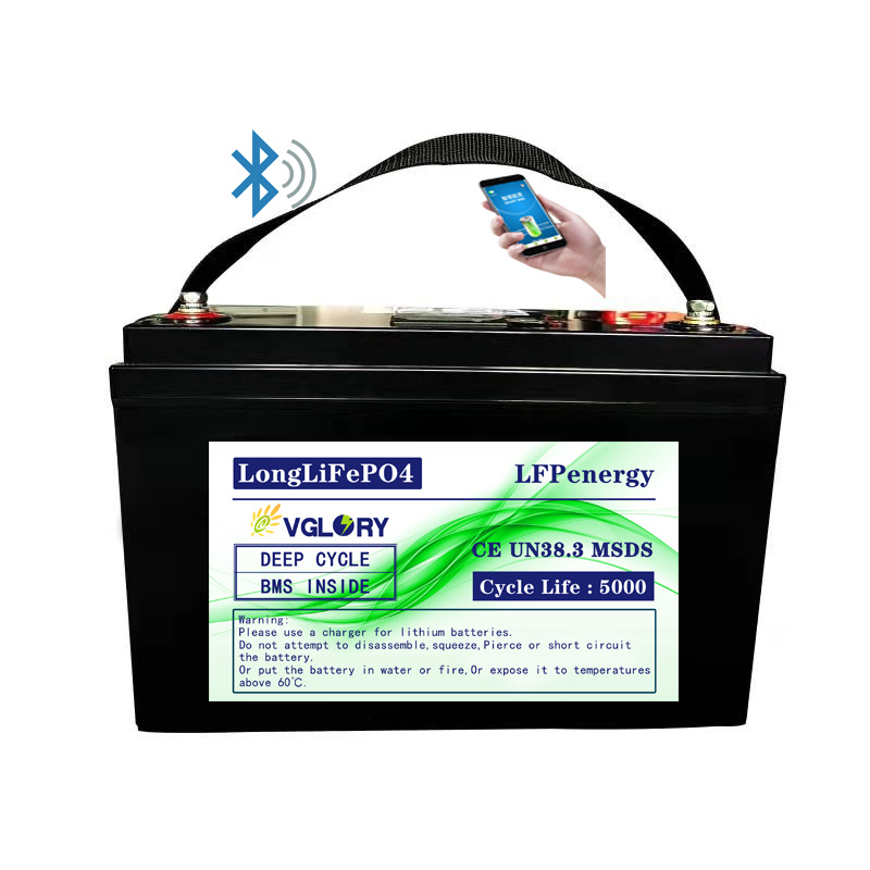 Intelligent BMS Protection 12v 200ah lithium ion battery