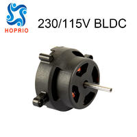 156V 270 W 19000 RPM BLDC motor for hair drier micr hair drier, high speed micro electrical tool