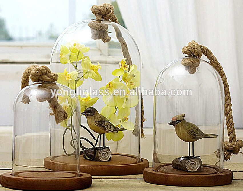Fancy glass micro landscape for decorations, clear glass dome glass cover on sale